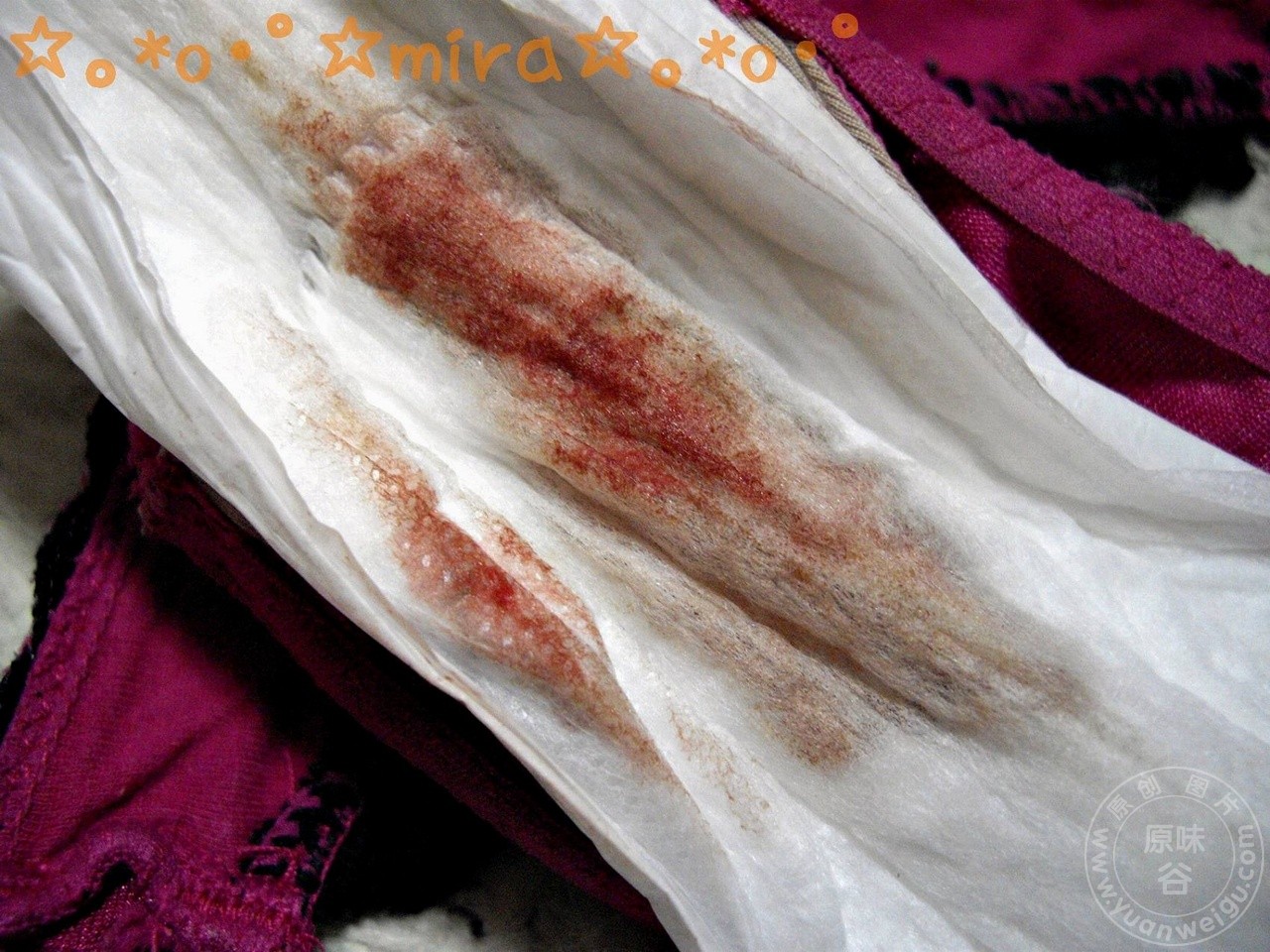 ���ʶȲ���